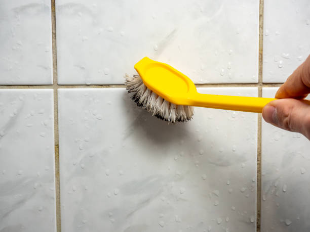 Best Toxic Mold Removal  in Caldwell, OH