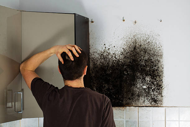 Best Residential Mold Removal  in Caldwell, OH