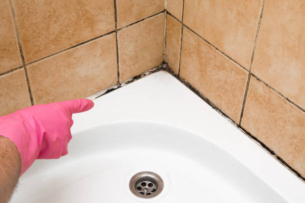 Water Damage Restoration in Caldwell, OH